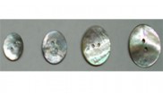 Agoya Shell 2-Hole Button Sizes 14, 20, 24, 30, 36, 40